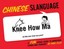 Chinese Slanguage: A Fun Visual Guide to Mandarin Terms and Phrases.