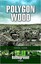 Polygon Wood: Ypres by Nigel Cave (Paperback, 1998)