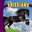 Friesians by Lorijo Metz (English) Library Binding Book Free Shipping!