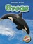 Orcas by Anne Wendorff (English) Library Binding Book Free Shipping!