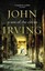 A Son Of The Circus by John Irving.