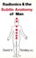 Radionics and the Subtle Anatomy of Man by David V. Tansley (Paperback, 1972)