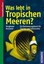 Was lebt in Tropischen Meeren? von Matthias Bergbauer; Manuela Kirschner (Buch)