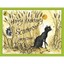 Hairy Maclary Scattercat Dodd, Lynley (Author)