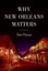 Why New Orleans Matters by Tom Piazza (Hardback, 2006)