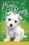 Magic Puppy: A Forest Charm (Magic Puppy) by Sue Bentley.