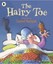 The Hairy Toe: A Traditional American Tale by Daniel Postgate (Paperback, 2009)