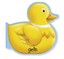 Schwimm-Leporello Ente, Buch