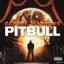 Pitbull - Global Warming
