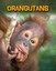 Orangutans (Living in the Wild: Primates) - Hardcover NEW Silverman, Buff 2012-0