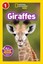 Giraffes by National Geographic Kids 9781426324482 (Paperback, 2016)