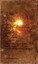 The All Knowing Diary: Creator's Secrets Revealed by Daniel Rechnitzer...