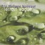 Philippe Noireaut - Terrain Vague