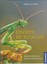 Insekten im Terrarium: Gottesanbeterinnen, Stabheuschrecken & Co. Geb. Ausg.