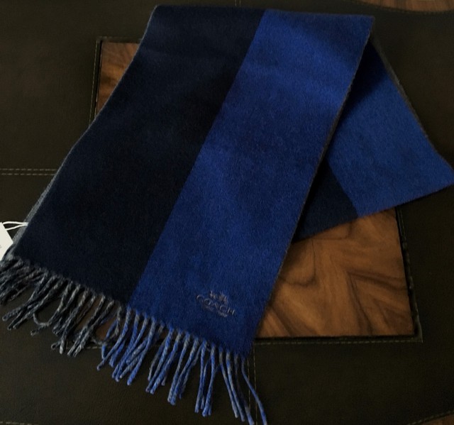 Coach Men S Navy Royal Blue Split Stripe 100 Soft Cashmere Scarf Nwt Coach Men S Navy Royal Blue Split Stripe 100 Soft Cashmere Scarf 228