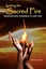 NEW Igniting The Sacred Fire by Adrianna Larkin BOOK (Paperback / softback)
