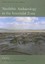 Neolithic Archaeology in the Intertidal Zone (Neolithic - Paperback NEW Sidell,