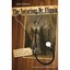 The Notorious Dr. Flippin - Hardcover NEW Tallman, Jamie 2011-03-30