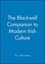 Modern Irish Culture by W.J. McCormack (English) Paperback Book Free Shipping!