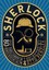 Sherlock by Head of Zeus (Hardback, 2015)
