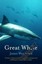 Great White by James Woodford.