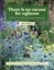 NEW There is No Excuse for Ugliness By Clive Blazey Hardcover Free Shipping