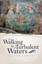 NEW Walking In Turbulent Waters by Eliana Bueche BOOK (Paperback / softback)