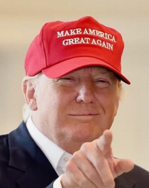Image result for make america great again