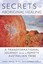 Secrets of Aboriginal Healing: A Physicist's Journey with a Remote Australian...
