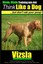 Vizsla, Vizsla Training AAA Akc - Think Like a Dog - But Don't ... 9781500224622