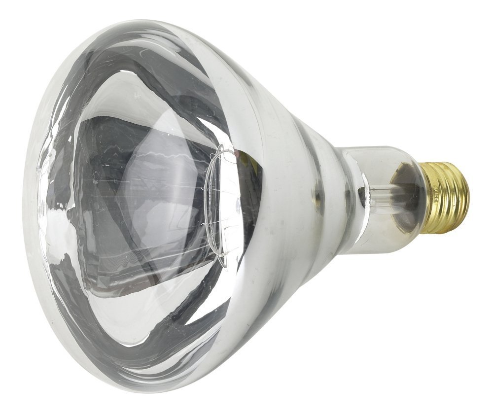 Feit Electric 250 Watt Incandescent R40 Clear Heat Lamp Reflector Picture 1 Of