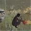 We've Moved Psycho & the Birds Audio CD