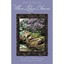 When Lilacs Bloom Diane M. Waterman