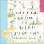 A Little Guide To Wild Flowers by Charlotte Voake 9781903919118