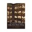 The Painted Closet of Lady Anne Bacon Drury by H.L. Meakin (Hardback, 2013)