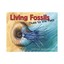 Living Fossils by Caroline Arnold, Andrew Plant (illustrator)