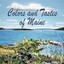 NEW Colors And Tastes Of Maine by Mark Chesebro BOOK (Paperback) Free P&H