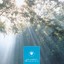 Ozella Music - Morning: Ozella Compilation