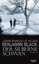 Der silberne Schwan, John Banville
