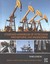 Standard Handbook of Petroleum and Natural Gas ...-NEW-9780123838469 by Lyons, W