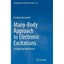 Many-body Approach to Electronic Excitations: Concepts and Applications Bechsted