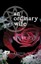 An Ordinary Wife - Paperback NEW Kerrie Robin 2009-12-01