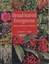 Broad-leaved Evergreens: Trees, Shrubs and Climbers by Stephen G. Haw.
