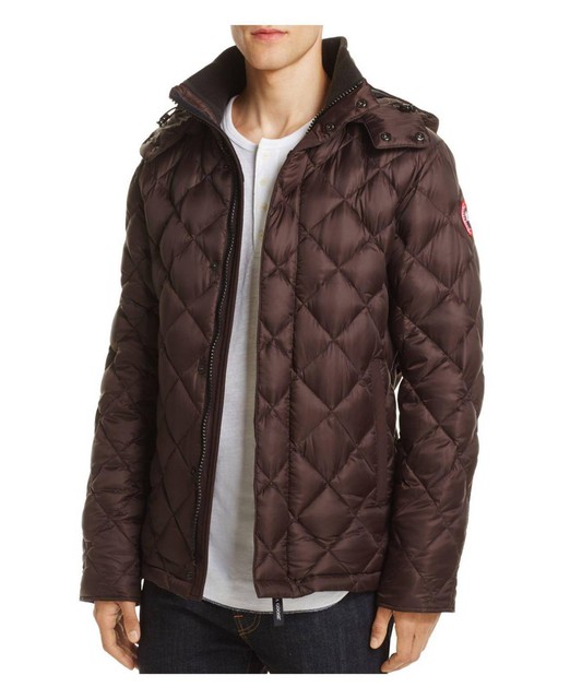 canada goose brown canada goose brown