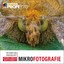 Mikrofotografie Gerhard Zimmert