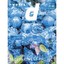 D Design Travel Okinawa - JP Oversized NEW D&department Pr 08-Apr-16