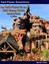 Kölln, M: Park-Planer für das Walt Disney World Resort in Fl