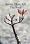 Better Than All the Rest by Doug McNaught (English) Paperback Book Free Shipping