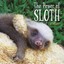 The Power of Sloth by Lucy Cooke (Hardback, 2014)