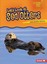 Let's Look at Sea Otters by Laura Hamilton Waxman (Paperback / softback)